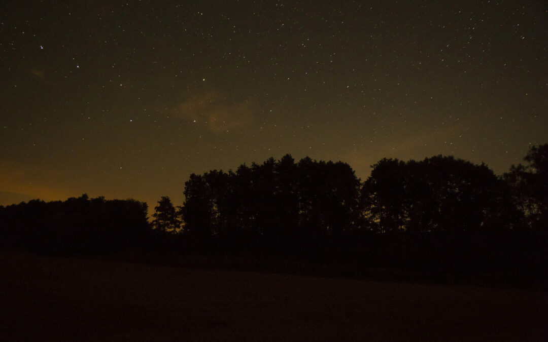 observation_nocturne