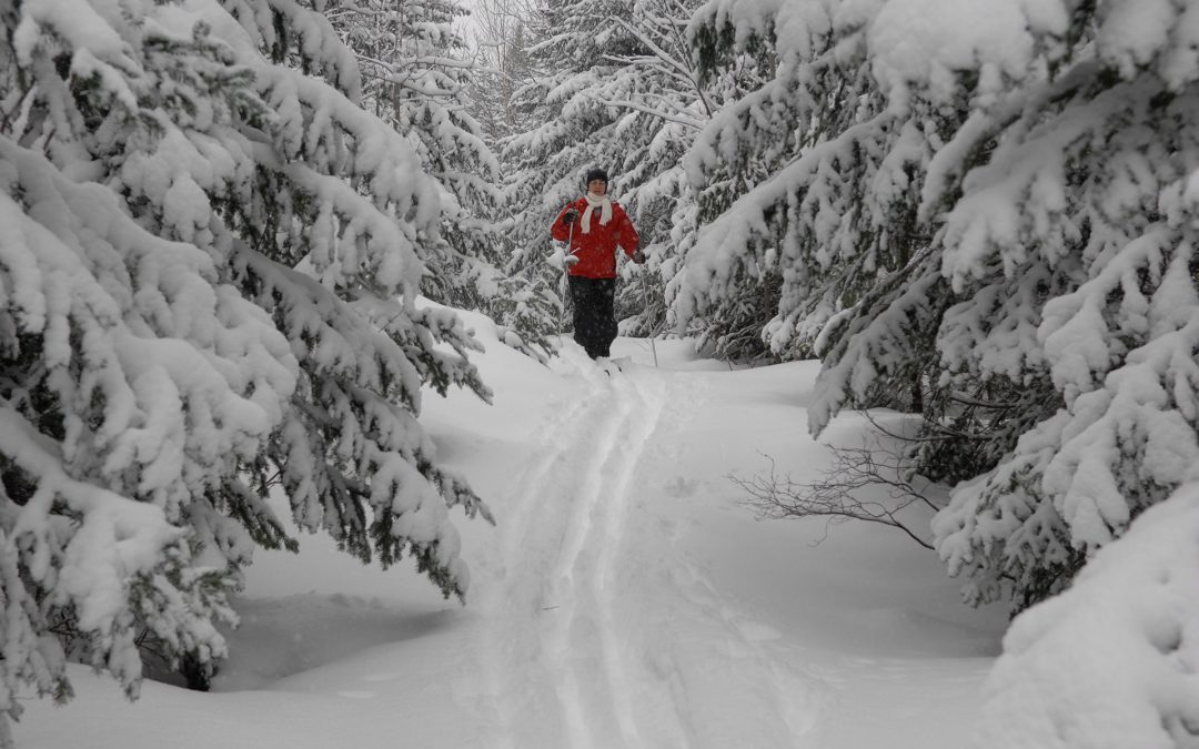 Cross-Country Skiing